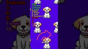 Викторина для любителей собак! #квиз #тест #собаки #животные #собака #породы