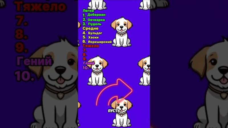 Викторина для любителей собак! #квиз #тест #собаки #животные #собака #породы