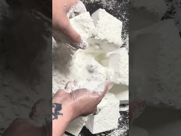 Squeaky Starchy Freshies