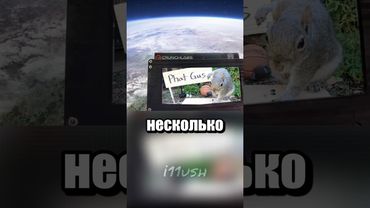 Селфи из космоса