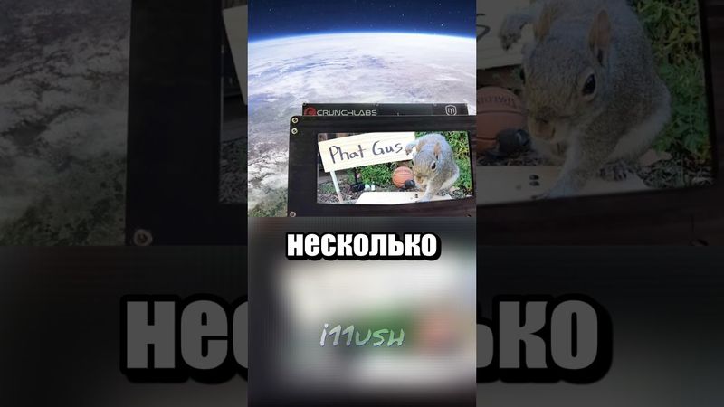 Селфи из космоса