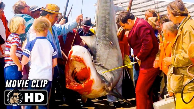 Tiger Shark Scene | JAWS (1975) Movie CLIP HD