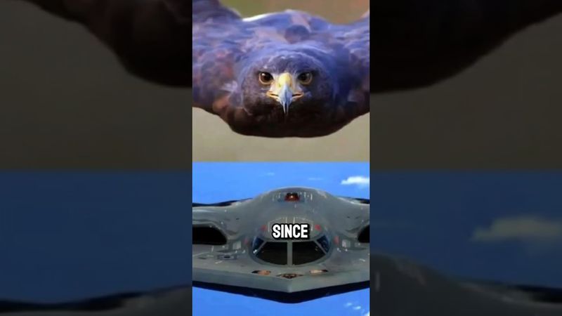 Why No Country Can Copy the B2 Bomber?