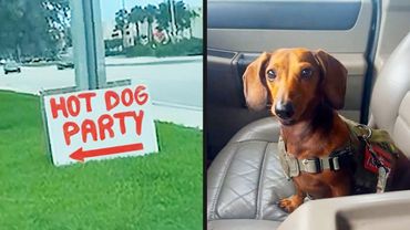 They Didn't Get the Invite