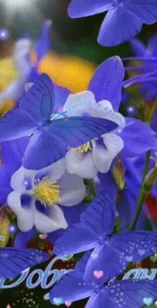 TikTok video #7071784695972826369