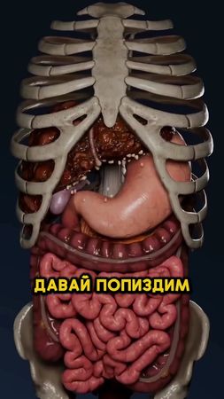 Самые опасные продукты для вашей печени и почек!