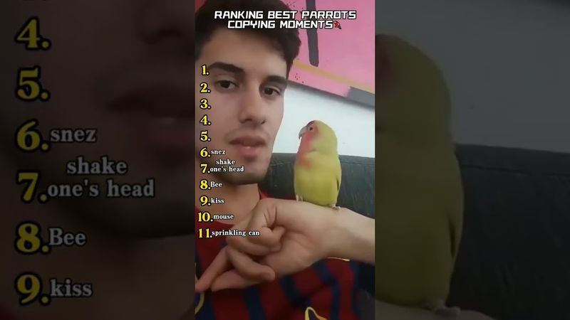 top 10 parrots 😂 #funny #funnybirds