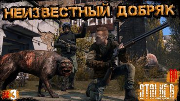 #3 Неизвестный Добряк | DayZ | Сервер Dead City STALKER RP |  #survival  #dayz #pvp #stalker