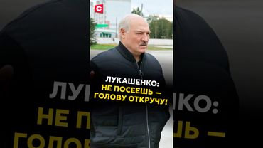 Лукашенко: НЕ ПОСЕЕШЬ — ГОЛОВУ ОТКРУЧУ! #лукашенко #новости #политика #батька #беларусь