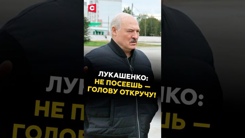 Лукашенко: НЕ ПОСЕЕШЬ — ГОЛОВУ ОТКРУЧУ! #лукашенко #новости #политика #батька #беларусь