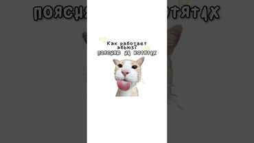 Как работает абьюз?