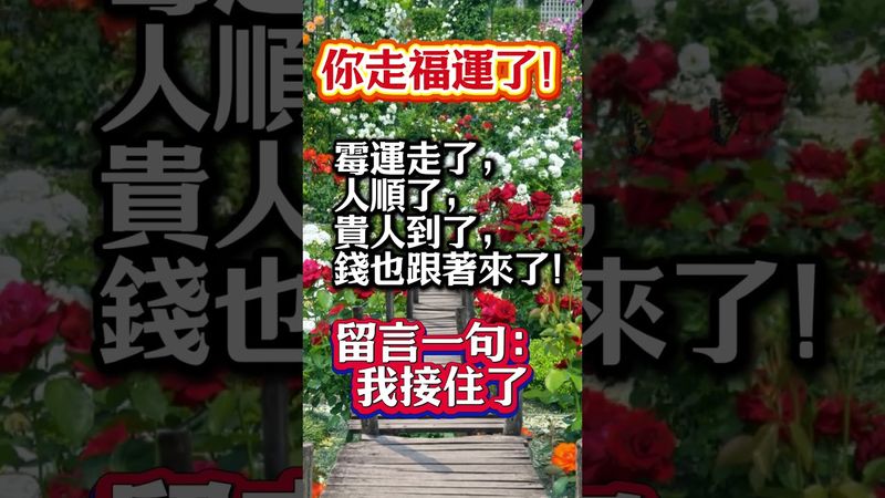 霉運走了，人順了，這才是真正的轉運！#生肖 #十二生肖 #運勢 #生肖運勢 #玄學 #風水 #命理
