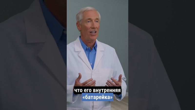 Кофе vs Мухомор: битва за вашу энергию  #мухоморныймикродозинг