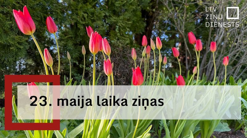 23. maija laika ziņas