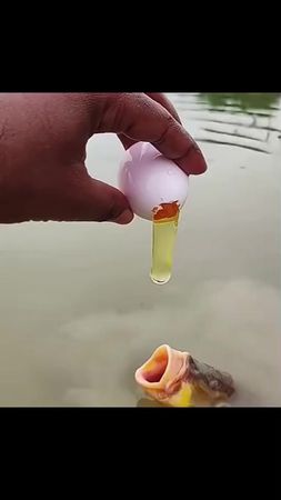 #اكسبلور #ترند #اكسبلورexplore 