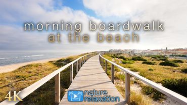Scenic Virtual Coast Walk | 4K, 40min Ambient Nature Relaxation Film