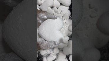 Plain Heart Chalk ASMR Crush #shorts