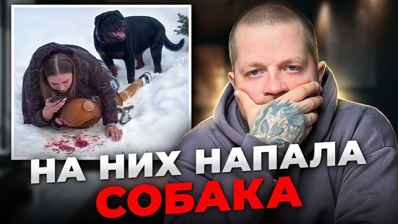 Как защититься от нападения агрессивной собаки?