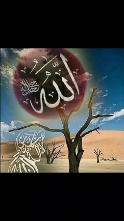 TikTok video #7000356512480627969