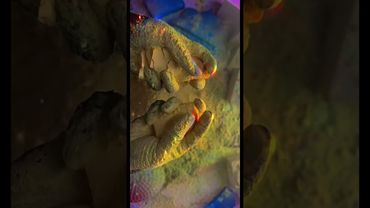 Asmr chalk credit:@unplainjaneasmr