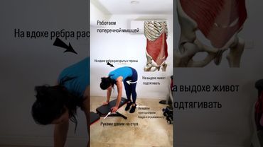 Пресс, диафрагма, попечная мышца #тренировкадома #рационпп #животпохудение