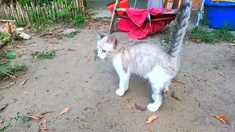 #Славянск. 1 сентября 2025г. Вечер. С Днём Знаний!