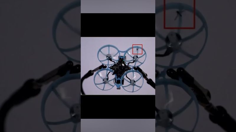 Дрон-убийца комаров Tornyol