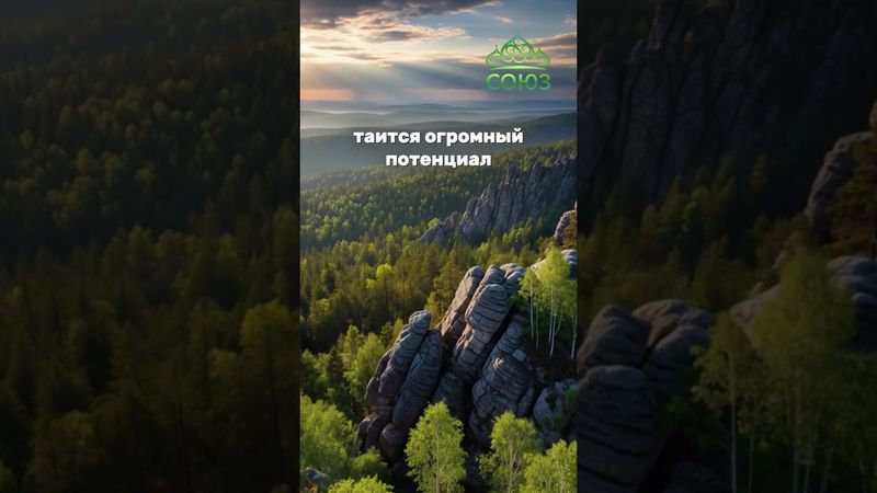 Вдохновляющий факт - Семя, несущее лес