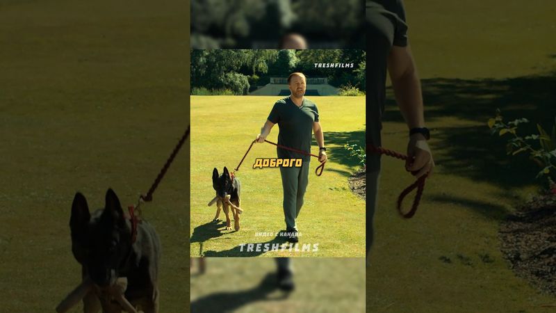 Плохая Брэнди 🐕‍🦺 #фильм #сериал #моменты #shorts