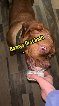 Should’ve added bubbles🫧😆 #kyliedazey #dazey #CapCut