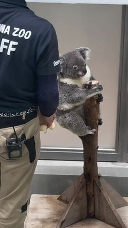 #food #اكسبلورexplore #viral #fyp #foryou 