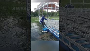 Зачем они топят эти синие бочки? 🔵🏠#азия #строительстводома #переработкапластика