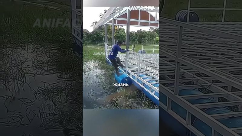 Зачем они топят эти синие бочки? 🔵🏠#азия #строительстводома #переработкапластика