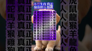 十二生肖 真正懂你的人是誰？ #運勢 #人生感悟 #生肖