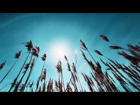 Сними головную боль и тревогу | #дыхательнаяпрактика #спокойствие #тревога