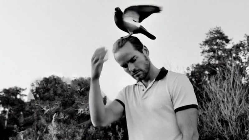 Почему я не хожу в зоопарк!