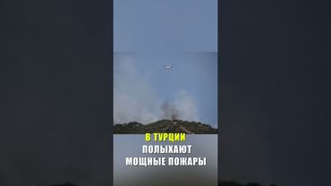 В Турции продолжается борьба с лесными пожарами