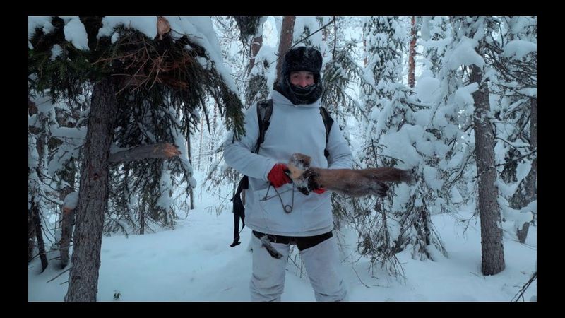 Морозец жмёт. Поездка в таежное зимовье для проверки путиков. Кругом волчьи следы.