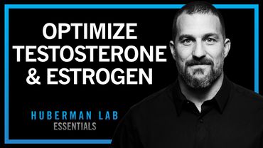 How to Optimize Testosterone & Estrogen | Huberman Lab Essentials