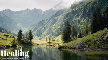 Peaceful Nature Sounds & Soft Music 🌿 Relieve Stress, Relax Your Mind, Deep Sleep