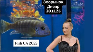 Зоорынок Днепр 30.11.2025