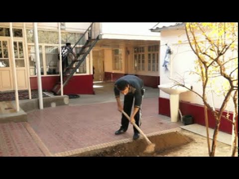 "KUCH BIRLIKDA" bolalar seriali - 7 qism