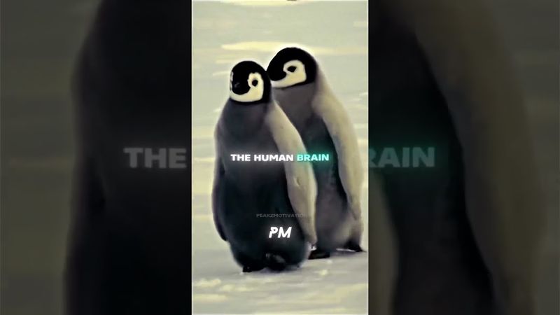 This Advice Can Change Your Life FOREVER…🤯🧠 – Simon Sinek