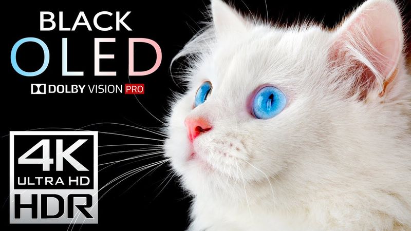 Black OLED Test Demo - 4K HDR Dolby Vision (120fps)