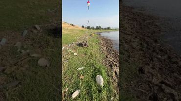 Итен пас адамдарды коросун