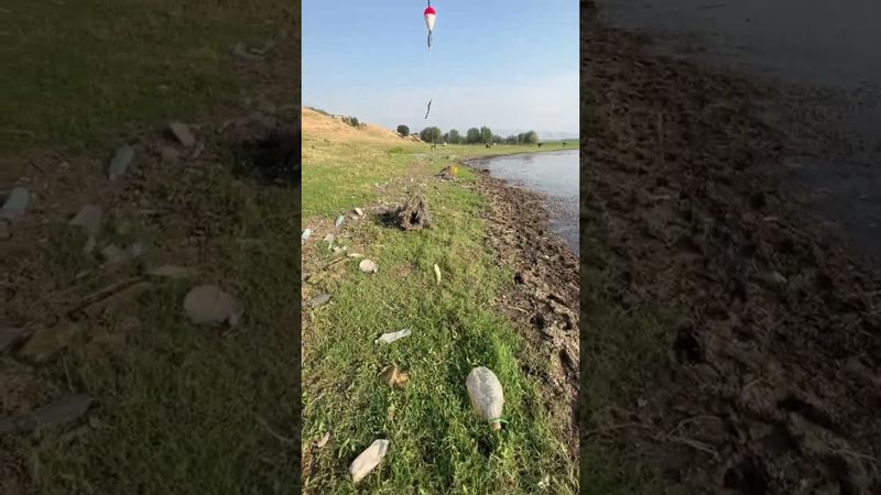 Итен пас адамдарды коросун