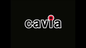 Bandai/ADX/Cavia/Racjin (2005)