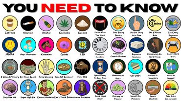 Everything You ACTUALLY Need to Know, Explained