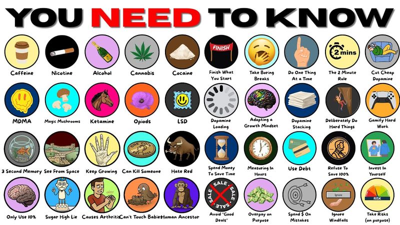 Everything You ACTUALLY Need to Know, Explained