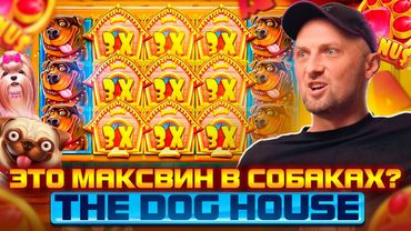 ТАКОГО ЗАНОСА В THE DOG HOUSE ЕЩЕ НЕ БЫЛО! Заносы Недели.#zubarefff #Zloy #Трепутин#заносынедели